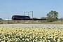 GE TLMGE 004 - HHPI "29008"
16.04.2014
Noordwijkerhout [NL]
Rens Bloom