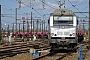 Alstom ? - Ecorail "75008"
15.02.2017
Les Aubrais-Orlans (Loiret) [F]
Thierry Mazoyer