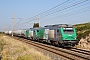 Alstom ? - SNCF "475025"
09.07.2011
Saint-Chamas [F]
Andr Grouillet