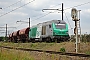 Alstom ? - Ecorail "475054"
17.05.2016
Les Aubrais-Orlans (Loiret) [F]
Thierry Mazoyer