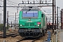Alstom ? - Ecorail "475055"
24.03.2017
Les Aubrais-Orlans (Loiret) [F]
Thierry Mazoyer