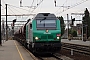 Alstom ? - Ecorail "475058"
31.07.2015
Les Aubrais-Orlans (Loiret) [F]
Thierry Mazoyer