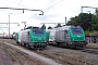 Alstom ? - SNCF "475108"
05.07.2010
Haubourdin [F]
Nicolas Beyaert