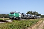 Alstom ? - SNCF "475114"
15.08.2024
Drusenheim [F]
Ingmar Weidig