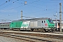Alstom ? - SNCF "475443"
10.03.2015
Saint-Jory, Triage [F]
Thierry Leleu