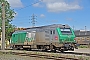 Alstom ? - SNCF "475446"
02.05.2016
Saint-Jory, Triage [F]
Thierry Leleu