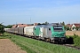 Alstom ? - SNCF "475464"
05.05.2014
Duttlenheim [F]
André Grouillet