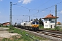 EMD 20068864-038 - DB Cargo "247 038-3"
22.04.2018
Hirschaid, Bahnhof [D]
Ren Groe