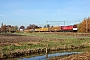 EMD 20078968-005 - Crossrail "DE 6314"
14.11.2012
Horst-Sevenum [NL]
Ronnie Beijers