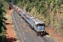 Progress Rail 20148087-024 - VLI "8245"
17.04.2016
Uberlndia (Minas Gerais) [BR]
Johannes Smit